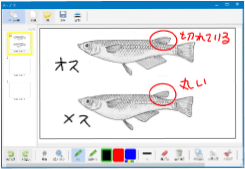 情報を調べてまとめる